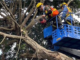 搶修機動班缺額不補   頻招考辦公人員  北市議員要求公園處調整人員編制