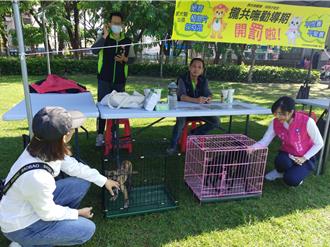 新營甜蜜節超萌！「寵物周」搜救犬、幼犬都出籠