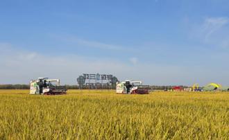 水庫爆滿！大區輪作再喊停 稻作四選三也放寬一期