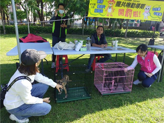 台南市新營甜蜜節周末2天在南瀛綠都心公園推出「寵叢奇遇記」，現場設有南市動保處攤位，歡迎民眾認養幼犬。（讀者提供／張毓翎台南傳真）