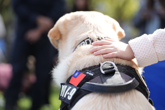 退休警犬「福星」。（圖 / 劉詠韻翻攝）