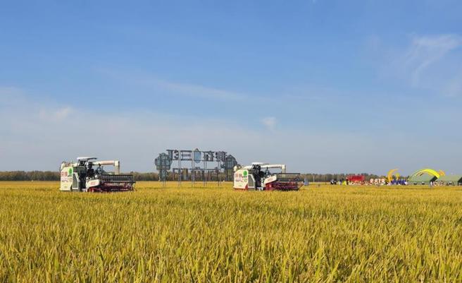 為了有效利用水資源，農業部在水資源競用區推出「大區輪作」，因近期颱風接連侵襲、各地水庫爆滿，因此近日宣布繼2024年暫停實施後，2025年將再度暫停實施。（報系資料照）