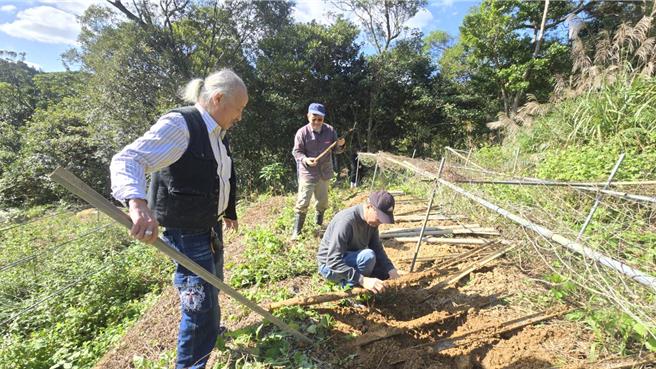 基隆七堵山区近来山猪、山羌繁殖数量暴增，该地农作都被啃个精光，至少减产至三分之一，农民心血泡汤，盼市府等单位可协助。（基市府产发处提供／徐佑升基隆传真）