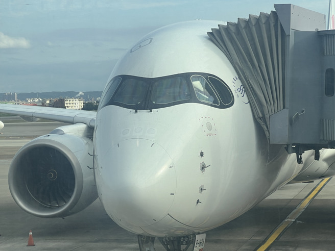  （图／曾薏苹）