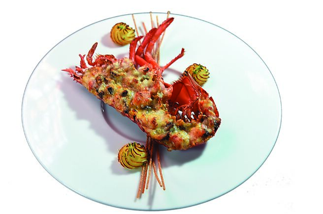 〈法式焗龙虾／公爵夫人洋芋泥〉是以波士顿龙虾以用柠檬汁与第戎芥末调制酱汁赋味后焗烤，藉由酸度解腻、同时保有起司的浓香。一旁带有荳蔻香的公爵夫人洋芋泥，其细腻质地与奶香交相辉映。图／姚舜