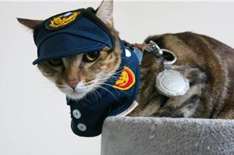 喵星人「乖乖」不再流浪 幸遇暖警！Long Stay 变身所猫