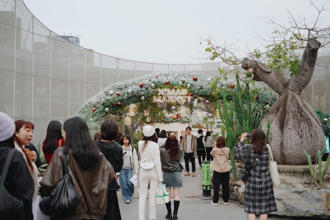 不是雙北！妹子問哪適合過耶誕節？網推1縣市：很浪漫