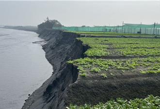 河川侵蝕活教材 西螺濁水溪高灘地農田如「斷崖」