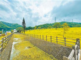 新莊第一公墓用地未變更 地方盼變更為公園用地