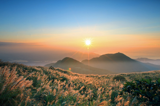 倫敦奪全球百大「最佳城市」冠軍 台北排76原因曝光