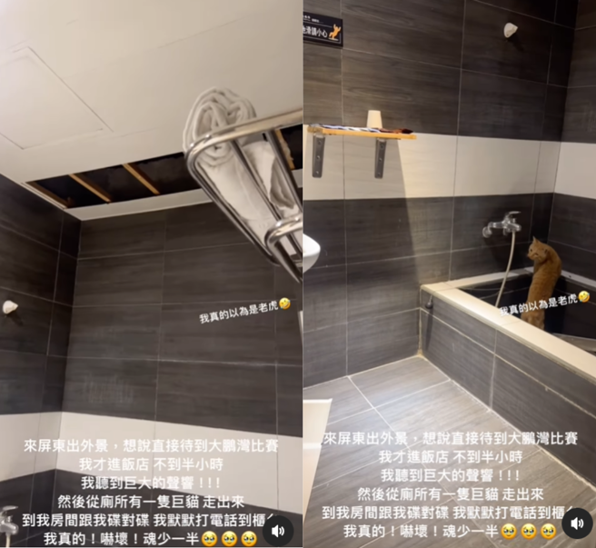 黄沐妍入住的饭店浴室天花板崩塌，还掉出一橘猫。（图／翻摄自黄沐妍（小猪）IG）