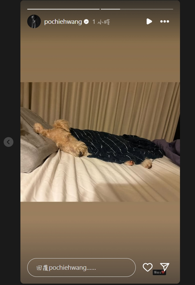 王柏杰的IG限动，让人怀疑恋情是否已经结束。（图／王柏杰IG）