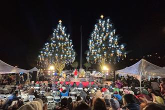 全国最高耶诞树在梨山！「山谷灯光节」璀灿点灯 重现梦幻冬日