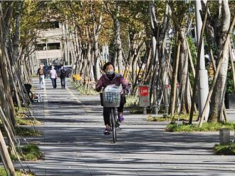 盜壘式摔車頻傳！大巨蛋前自行車道滑如冰 警衛驚曝「摔得滿臉血」