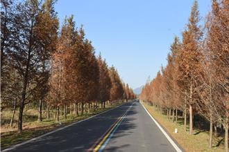 鍾東錦參訪寧德時代新能源 汲取技術助桃竹苗大矽谷