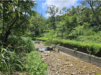 彰化田中保安林保育有成 土石流潛勢區改善、PM2.5降幅26％