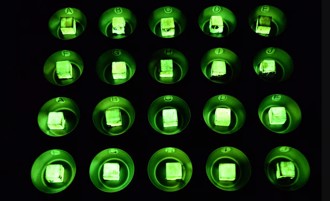 科學家發明「螢光木材」 不用電就可照亮房屋與公園