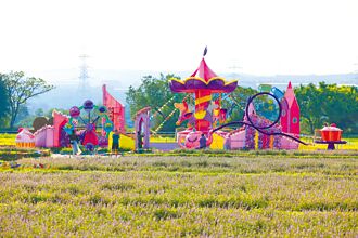 微型氣象站助攻 花海更浪漫