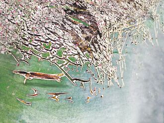 阿晃之書（上）