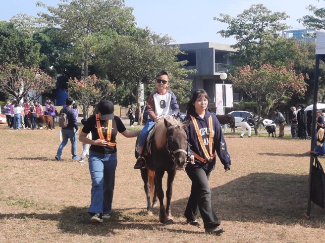 现场除了可以骑马、观赏小牛，还有结合DIY手作体验与亲子互动，充满教育深度与实践价值。(照片/东海大学提供)

