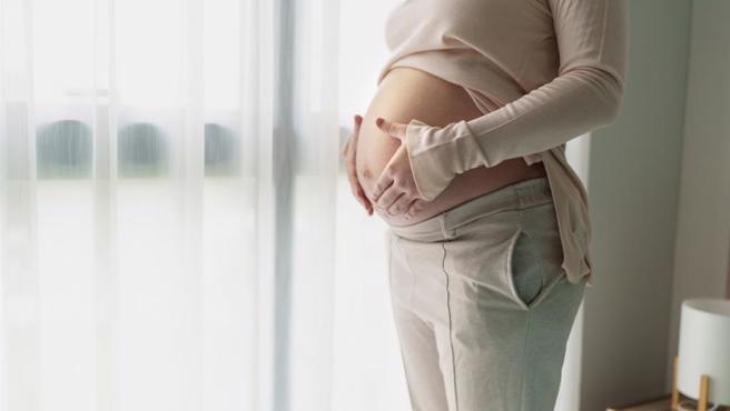 不贊同代理孕母另立專法，藍委：不應與人工生殖法脫鉤。（示意圖：shutterstock／達志）