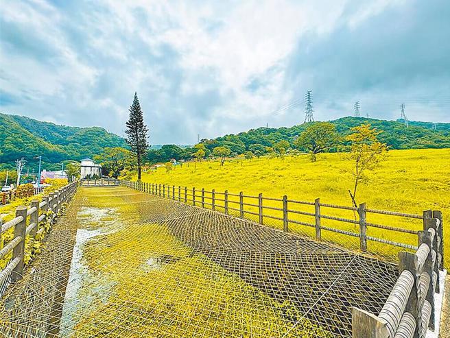 新庄第一公墓仍维持公墓用地不会变更为殡葬区，但地方上期盼能变更为公园用地。（资料照片）