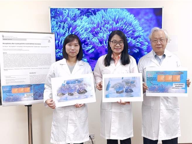 中山大学化学系特聘教授谢淑贞（中）与海洋科学系研究讲座陈镇东（右）合作研究发现塑胶微粒竟会让珊瑚「骨质疏松」，图左为博士后研究员林佩莹。（中山大学提供／郭良杰高雄传真）