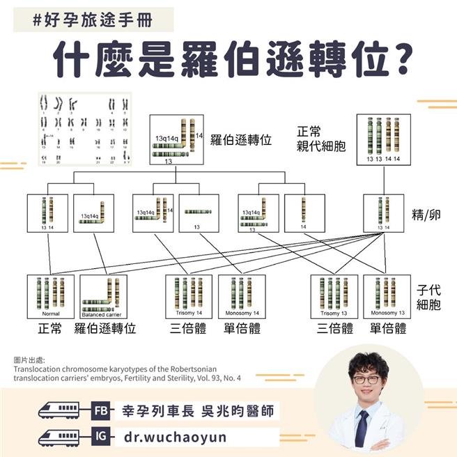 吴兆昀医师说明，罗伯逊转位的发生率低，仅0.1％，但在反覆流产族群中高达1.1％。（禾馨宜蕴生殖中心提供）