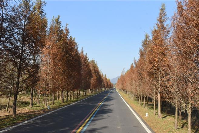 2024年12月2日苗栗县／溧阳1号公路以现代设计结合自然生态闻名，全长365公里，串联村落与保护区，交通建设兼顾观光与生态保育，其理念与苗栗推动石虎保育一致，提供发展借鉴。（苗栗县政府提供／吕丽甄苗栗传真）