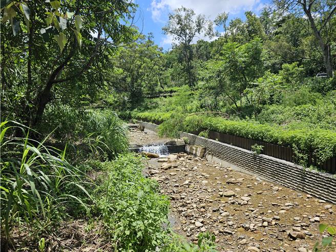 林業及自然保育署南投分署整治田中鎮內灣坑溪，生態更多樣化，魚兒也回來了。（林業及自然保育署南投分署提供／葉靜美彰化傳真）