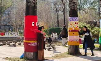 入冬樹也怕冷？ 北京街頭「毛衣樹」爆紅吸睛