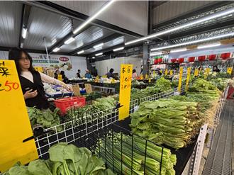 菜價飆漲嚇壞人！1斤菠菜破百 婆媽：嚇到吃手手