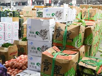 北市菜价飙破60元！惊见150元高丽菜 农粮署：12月中有望回稳