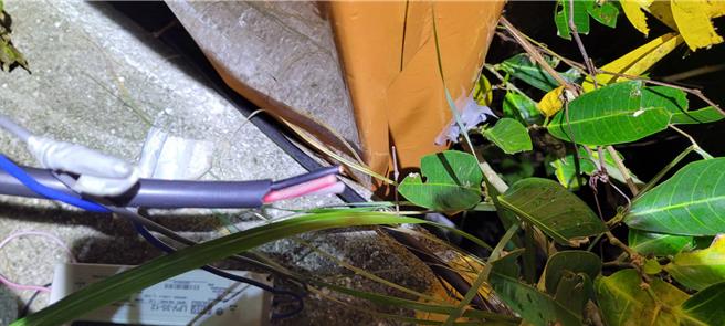 花莲寿丰乡每到年尾就会频繁传出公共电线及电缆遭窃取破坏，造成乡间小路的路灯不亮，让乡公所相当头痛。（寿丰乡公所提供／罗亦晽花莲传真）