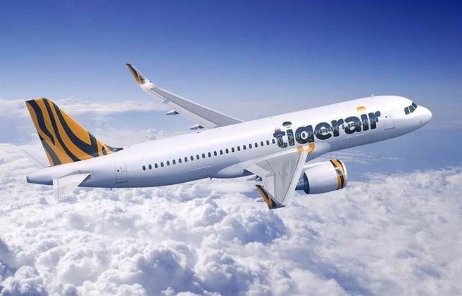 台湾虎航股价攻涨停。（图片提供／台湾虎航）