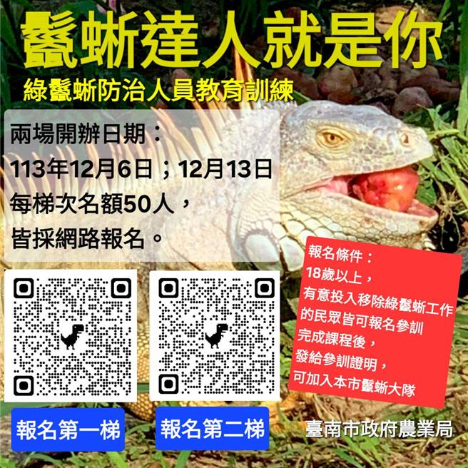 台南市政府农业局定12月6日及12月13日办理2场绿鬣蜥防治人员教育训练。（农业局提供／宝智华台南传真）