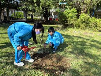 北市推廣校園綠化！明年植樹補助加碼最高3萬