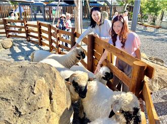 南投新景點鹿芝谷開幕 呆萌水豚君、笑笑羊攬客