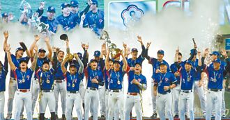 當兩岸同讚中華隊