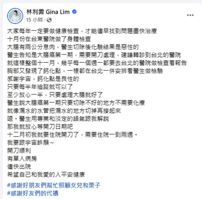 林利霏脸书全文。（图／翻摄自林利霏 Gina Lim脸书）