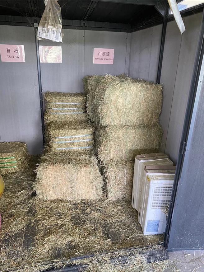 陽管處於庇護站準備水牛過冬物資乾牧草、精料與鹽磚等，幫助水牛度過寒冬。(北市動物保護處動物救援隊提供)