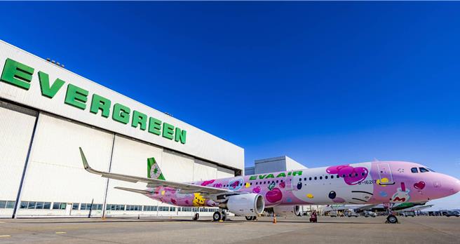 「粉萌机」缤纷亮眼的图案深深吸引粉丝及航空迷的目光。（长荣航空提供／范扬光桃园机场传真）