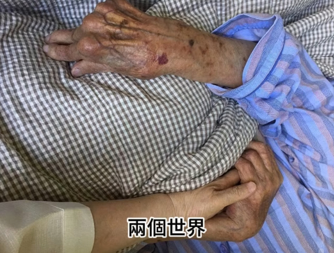 琼瑶将自己的生平以及与先生平鑫涛的回忆，用刘家昌创作的歌曲《不如归去》当背景音乐作为短片。（图／摄自FB@琼瑶）