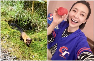 台8女神爬山遇超萌動物「被可愛爆擊」 網急提醒：趕快保持距離