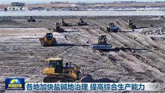 潛在糧倉！陸各地加快鹽鹼地治理提高綜合生產能力