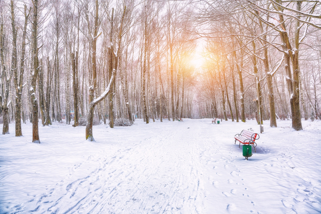 牡羊、天秤、射手、摩羯4星座在大雪時節好運降臨，開啟幸福的精彩時光。（示意圖：Shutterstock／達志）