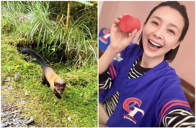 吴婉君登山时遇到黄喉貂，被网友连忙提醒：「要保持距离」。（图／吴婉君 Cocco Wu脸书）