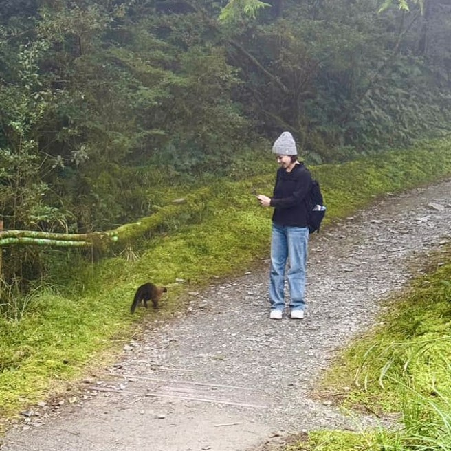 吴婉君事后才知道遇到的黄喉貂是「狠角色」。（图／吴婉君 Cocco Wu脸书）