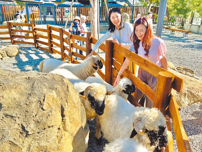 南投新景点鹿芝谷生态园区4日开幕，南投县长许淑华（右二）在业者郑玉梅（右一）陪同下逛园区，直呼呆萌的笑笑羊瓦莱黑鼻羊、水豚君、梅花鹿好可爱。（杨静茹摄）