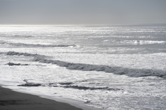 加州遭海嘯威脅真實情況如何？警報1小時就取消原因曝